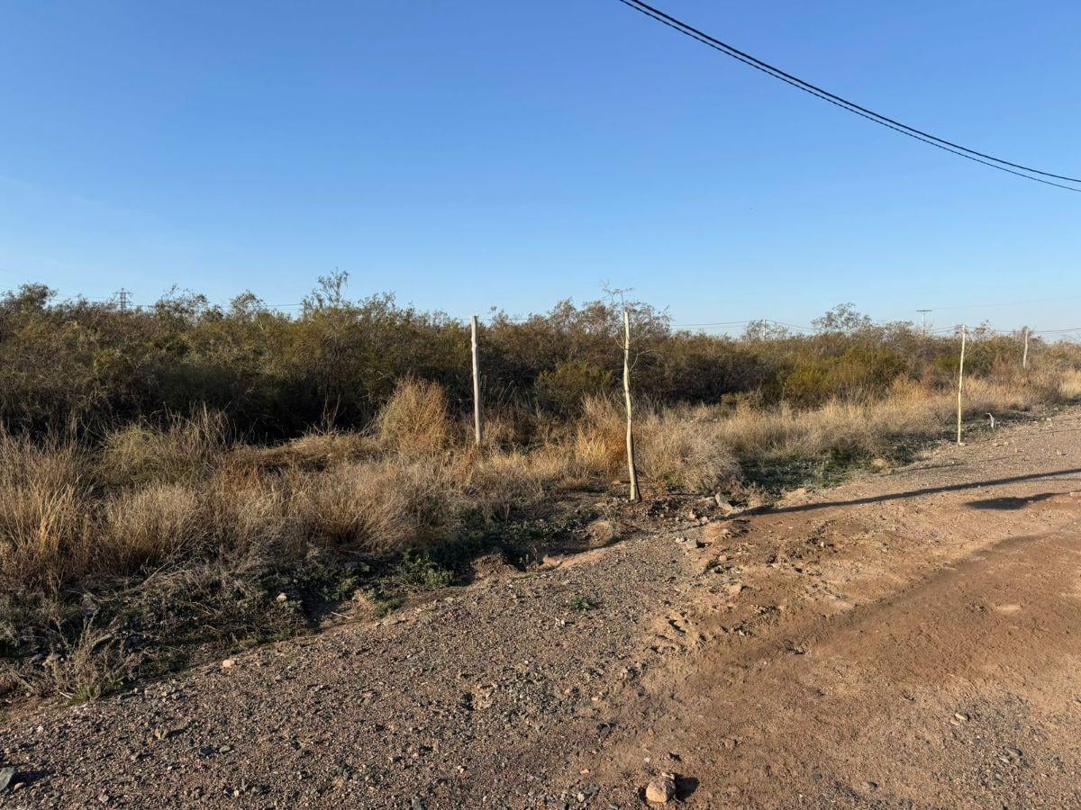 Foto de LOTES EN VENTA EN Bº PRIVADO EL CARAMILLO, LUJÁN DE CUYO, imagen 3