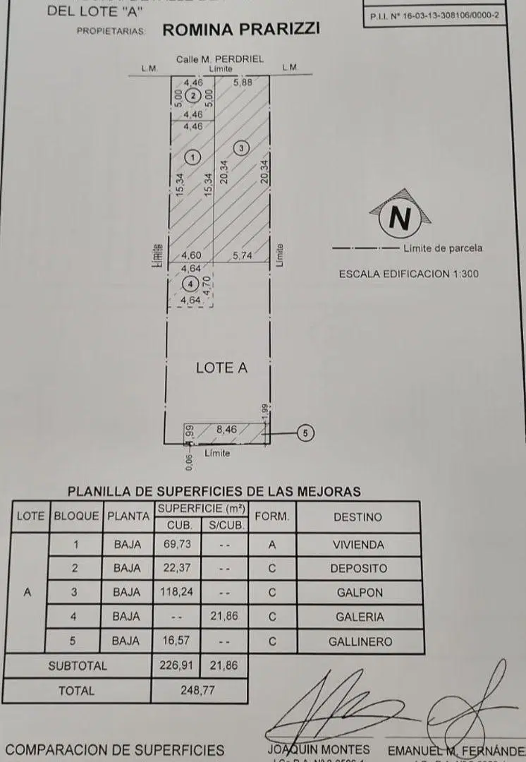 Plano 1