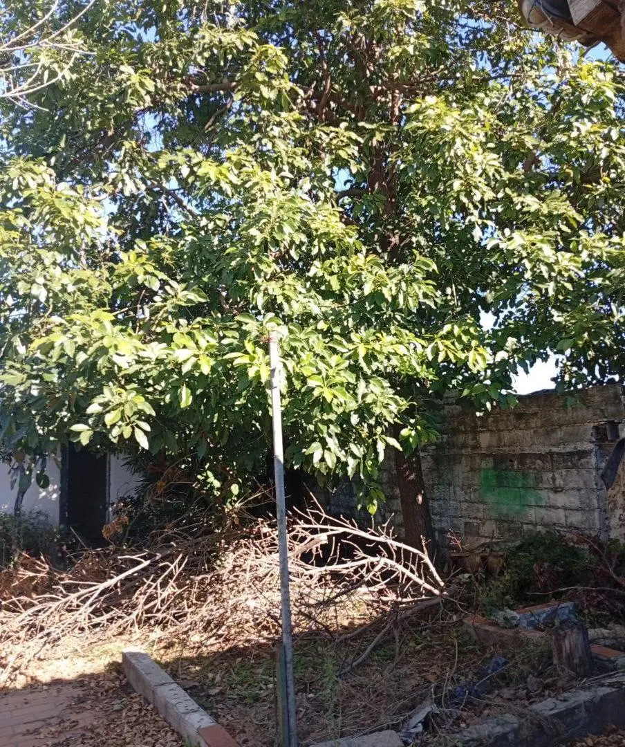 Galpón con Oficinas en alquiler. PERDRIEL 1500 Rosario. 5