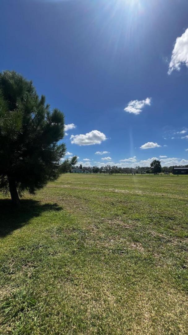 Foto de Lote en Venta, imagen 2