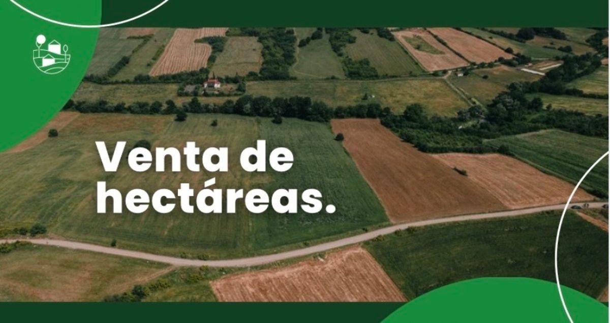 Foto de Venta de hectáreas en Salta., imagen 3