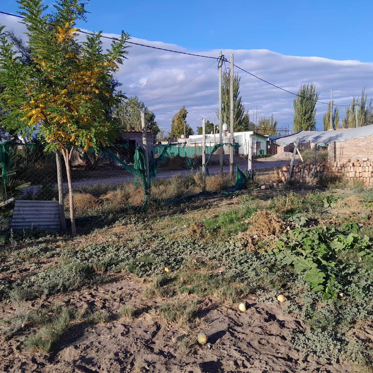 Terreno con Casa Prefabricada a Reciclar 3