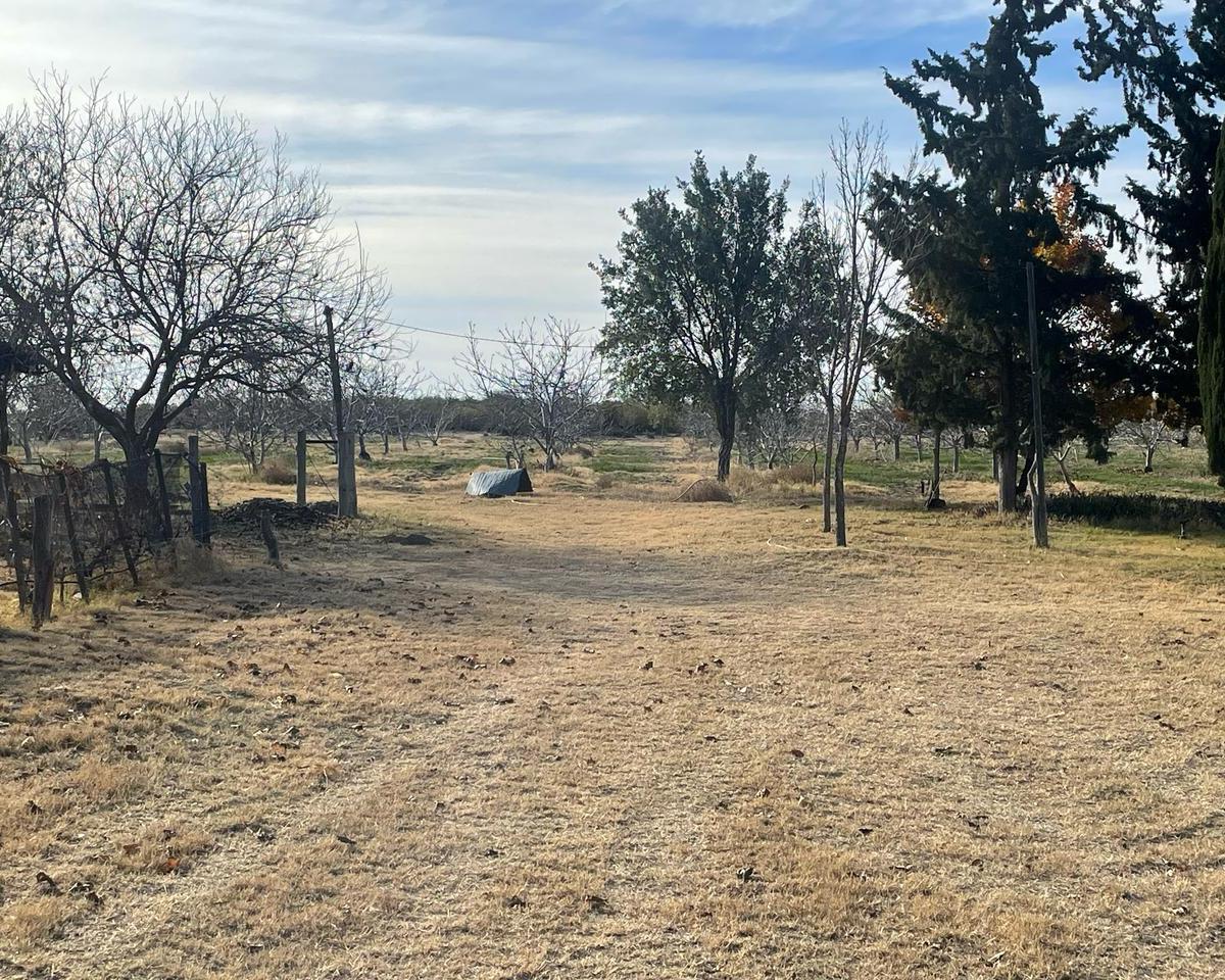 Se Vende Campo La Marilyn Ubicado en Distrito Cuadro Nacional, San Rafael. 5