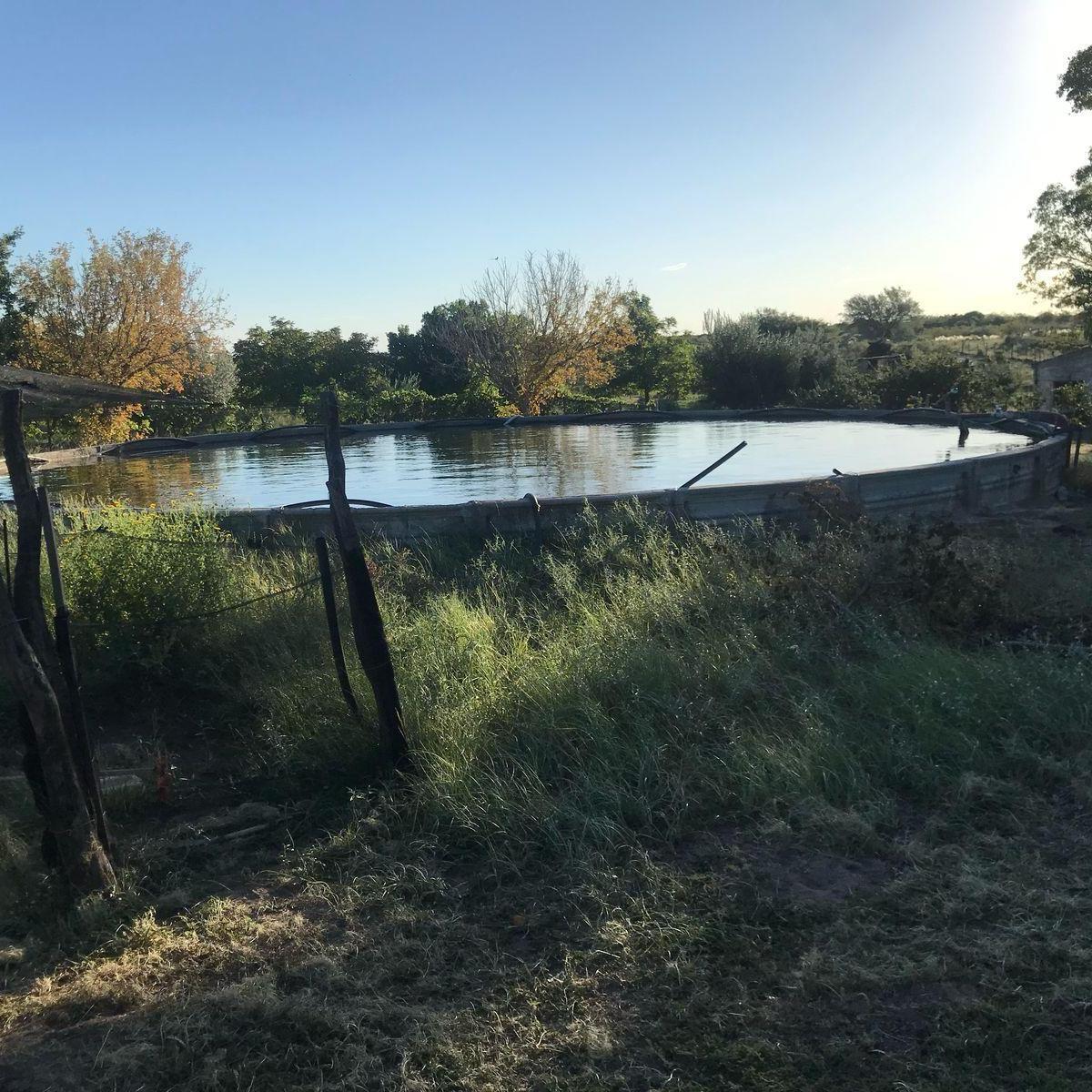 Se Vende Campo La Marilyn Ubicado en Distrito Cuadro Nacional, San Rafael. 4