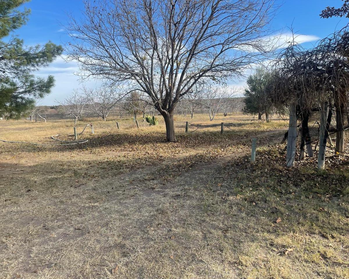 Se Vende Campo La Marilyn Ubicado en Distrito Cuadro Nacional, San Rafael. 3