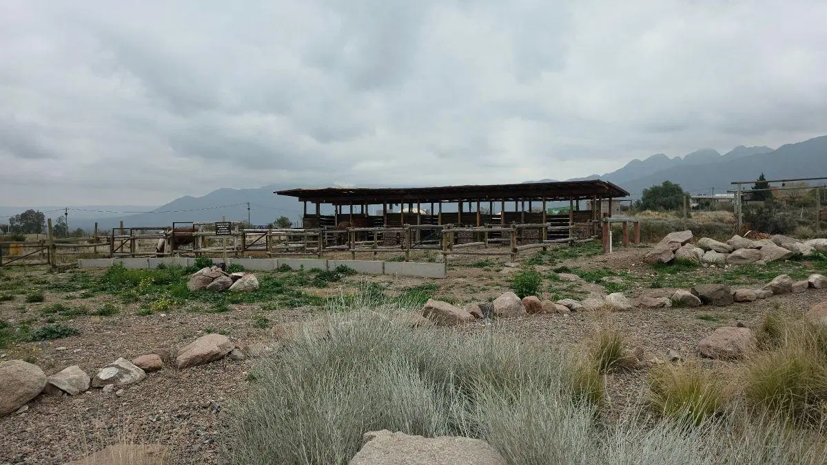 EN VENTA: ESPECTACULAR LOTE DE 2.000 m² – B° PRIVADO ALTOS DE LA CRUCESITA. 5