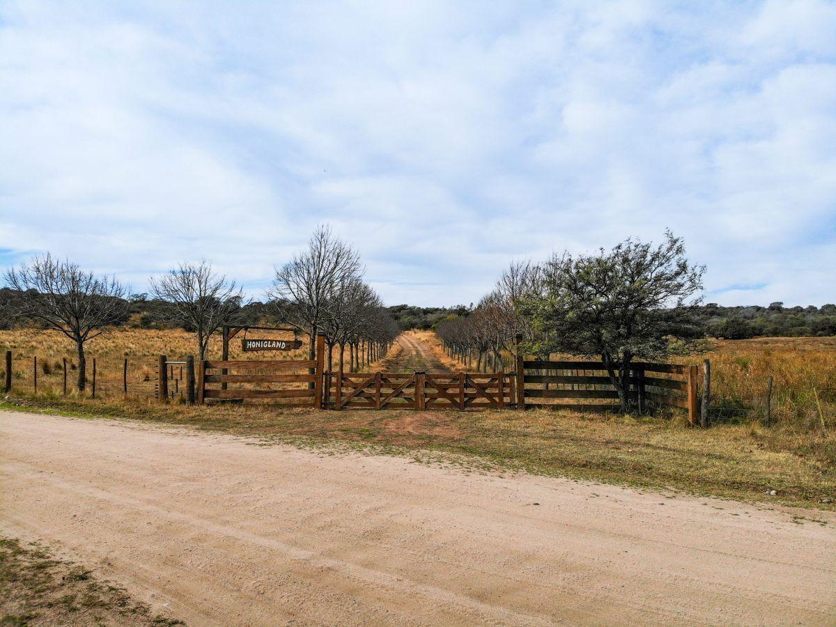 Foto de Campo en Villa del Dique – OPORTUNIDAD! USD 800.000, imagen 1