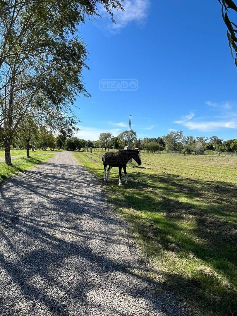 Foto de Terreno Lote en Venta en Lomas de Manzanares, Manzanares, Pilar, imagen 4