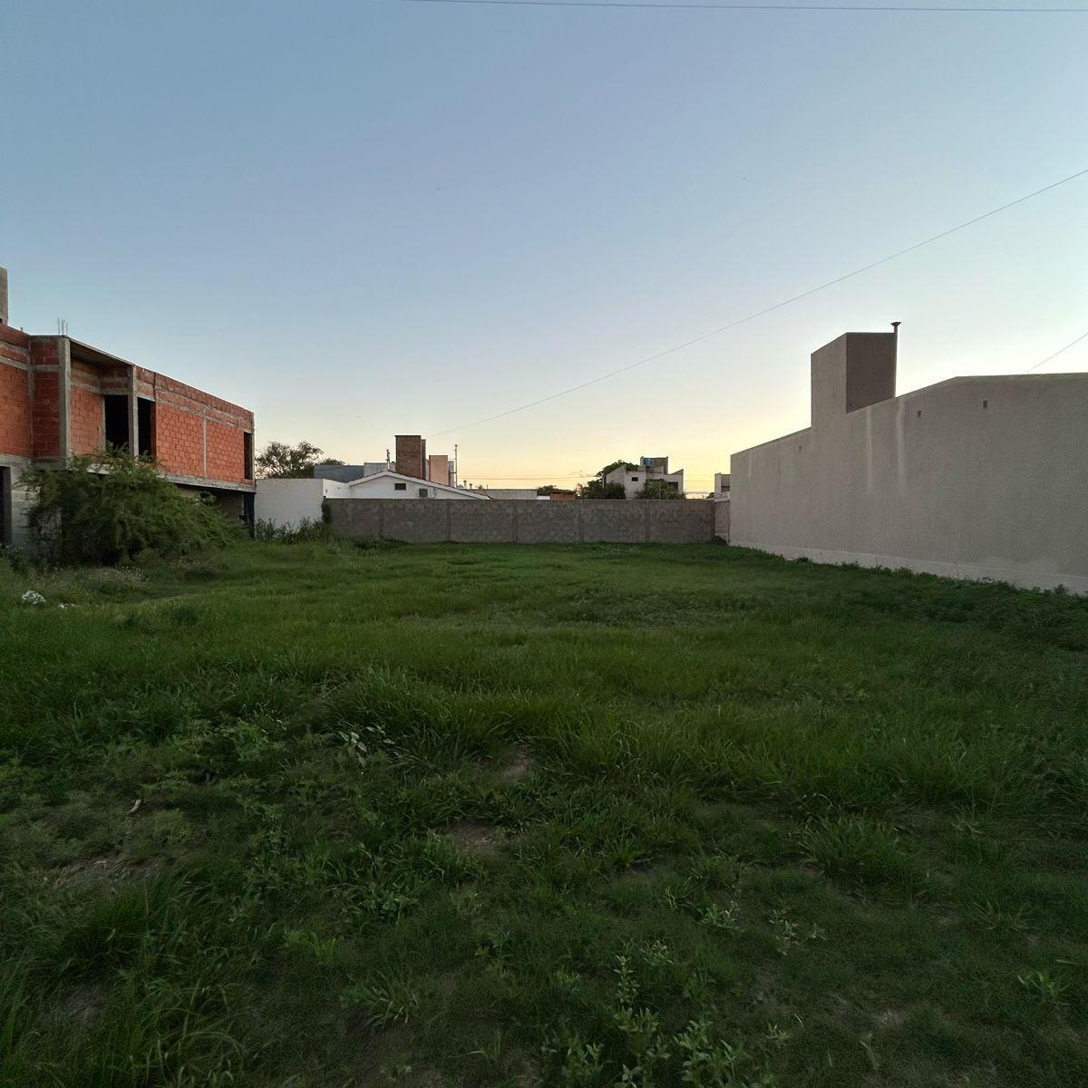 Loma del Río 3
