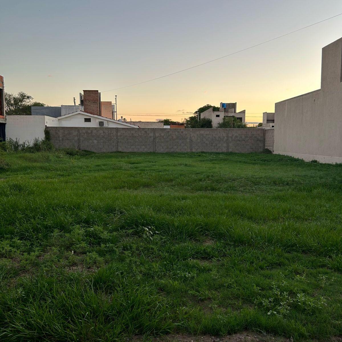Loma del Río 5