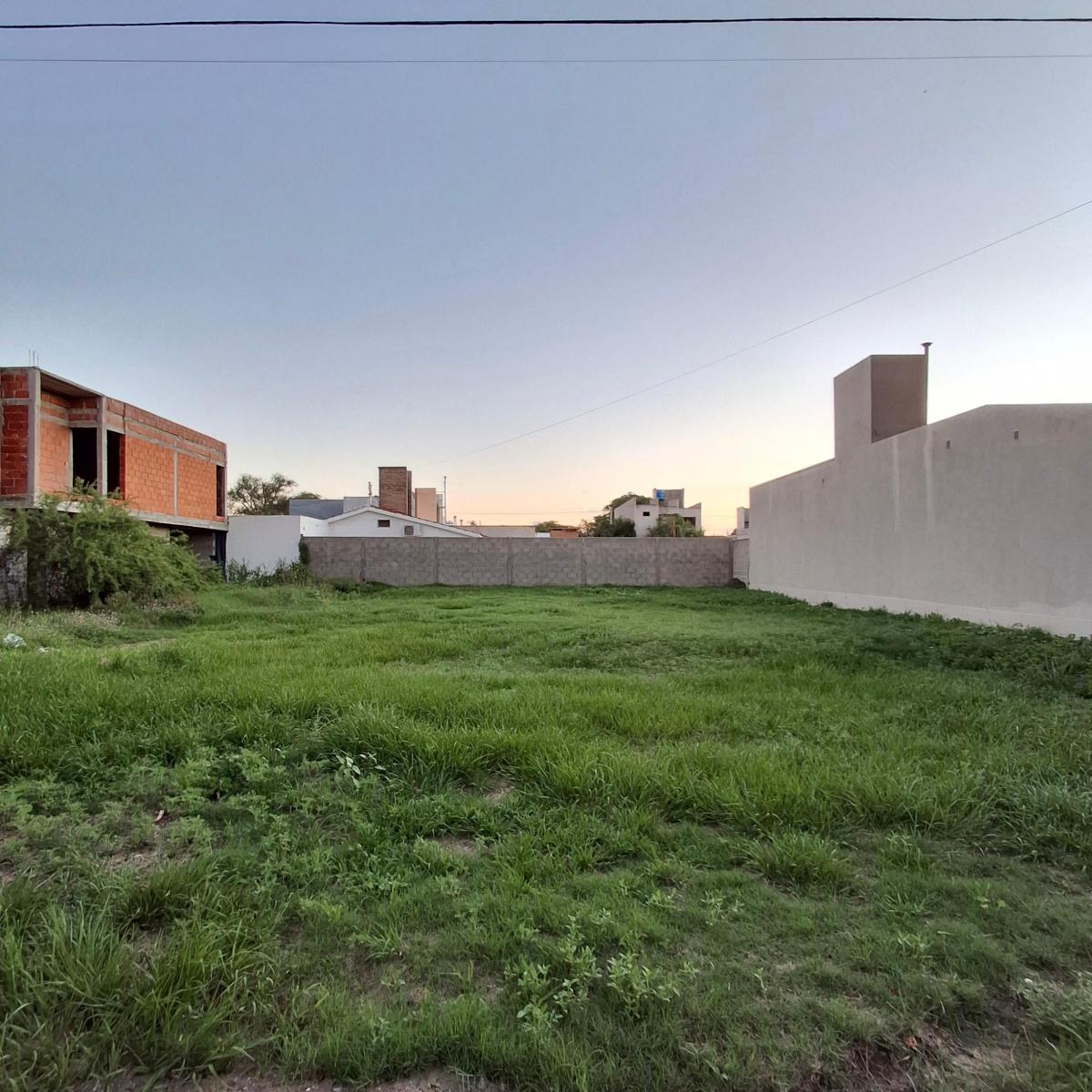Loma del Río 4