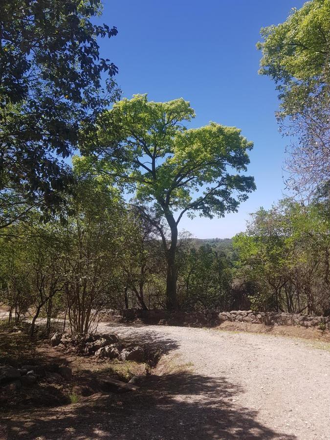 Excelente. Casa de campo. Con amplio terreno de 10 has. Zona residencial