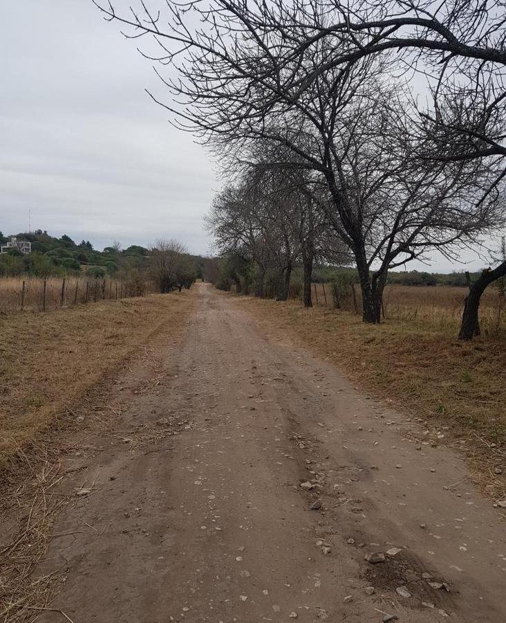 Foto de Excelente. Fracción de campo. 24 hectáreas, imagen 4