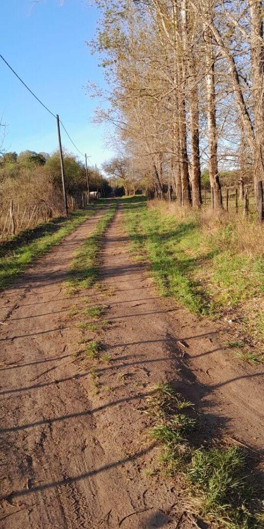 Excelente. Fracción de terreno