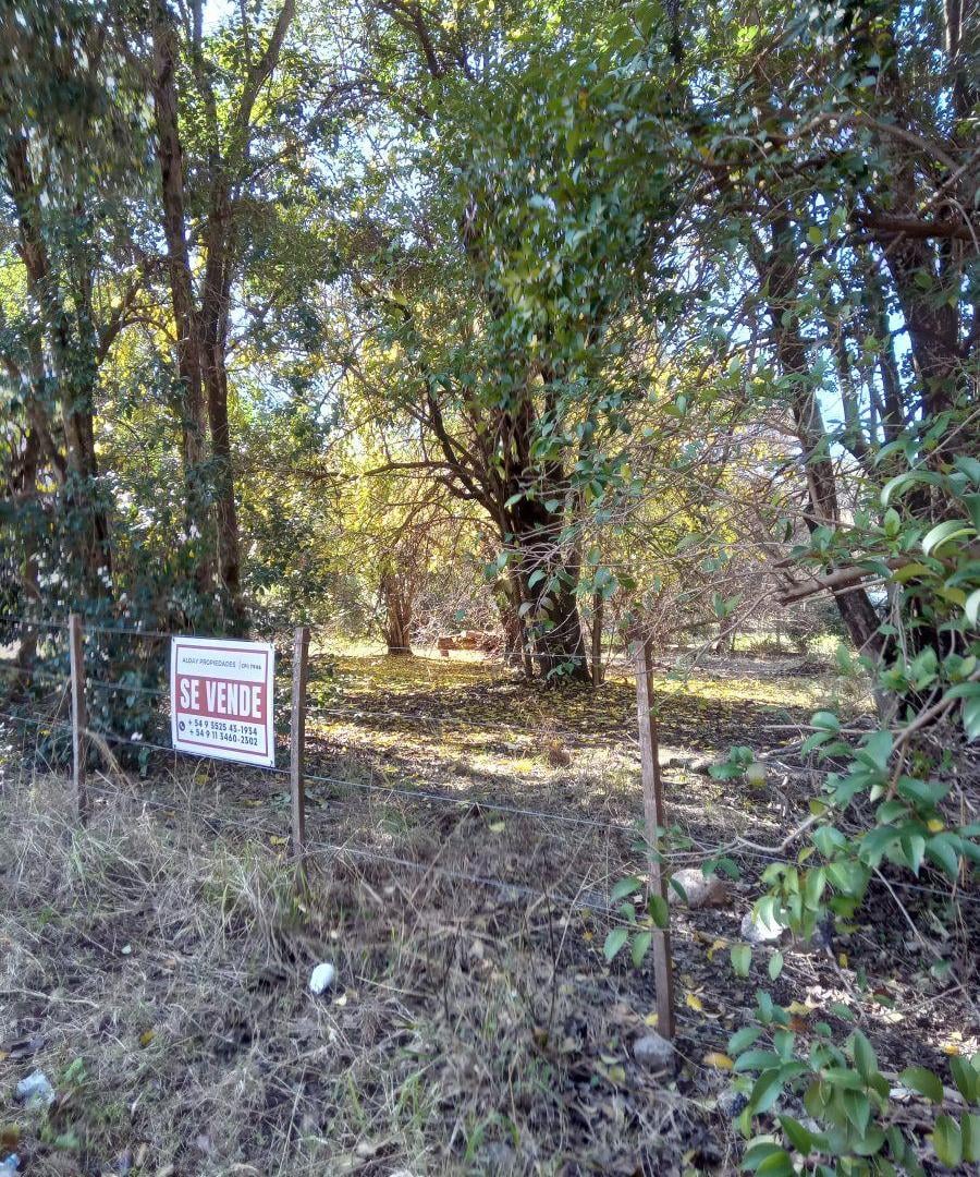Imagen de la propiedad
