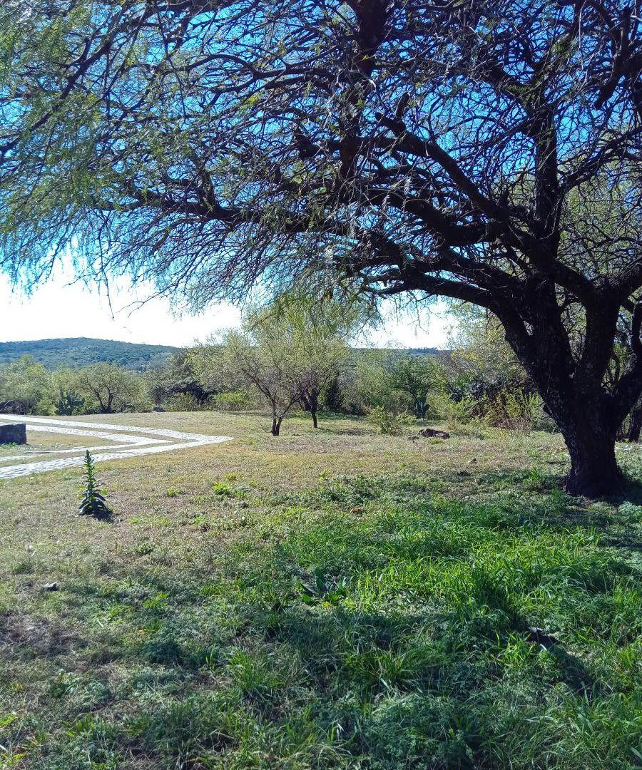 Foto de Excelente. Terreno. Zona residencial, imagen 1