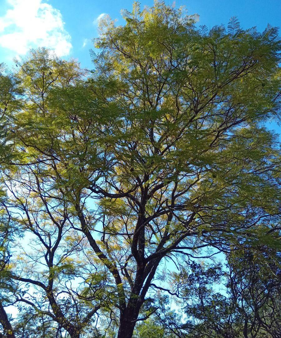 Foto de Excelente. Terreno. Entorno natural único, imagen 1
