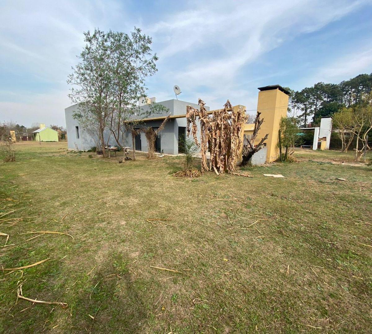 Quinta. Teresa de Calcuta 4