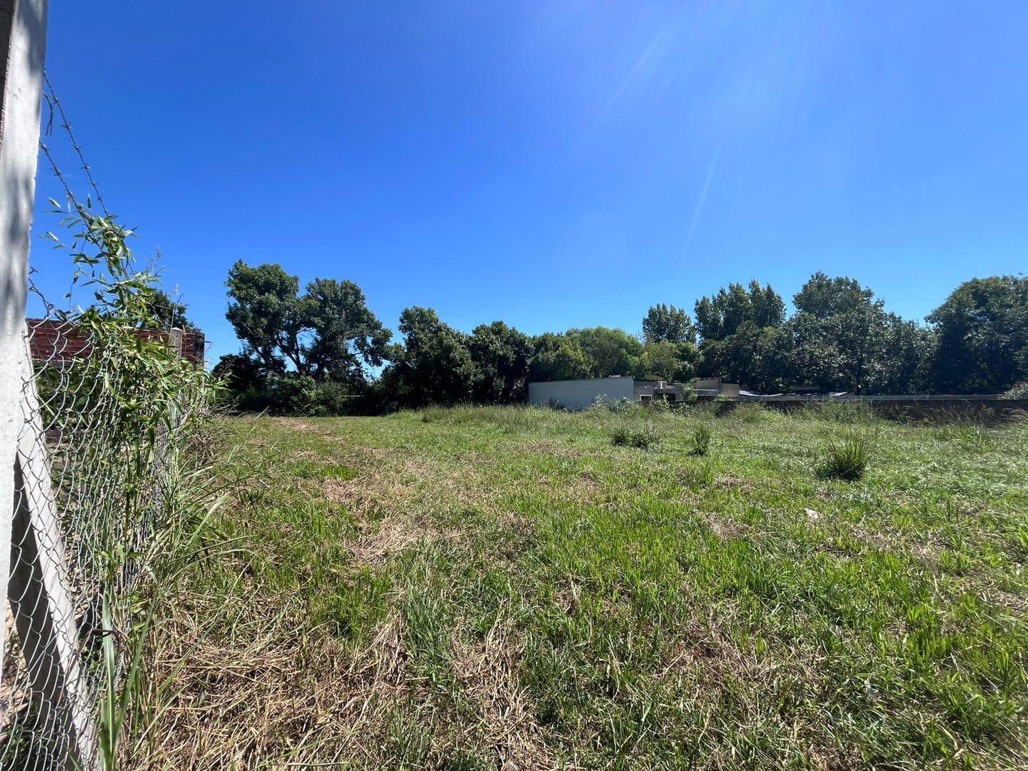 Foto de Venta de Terreno 450 m² en Sauce – A 400 m de Ruta 11 | Listo para, imagen 2