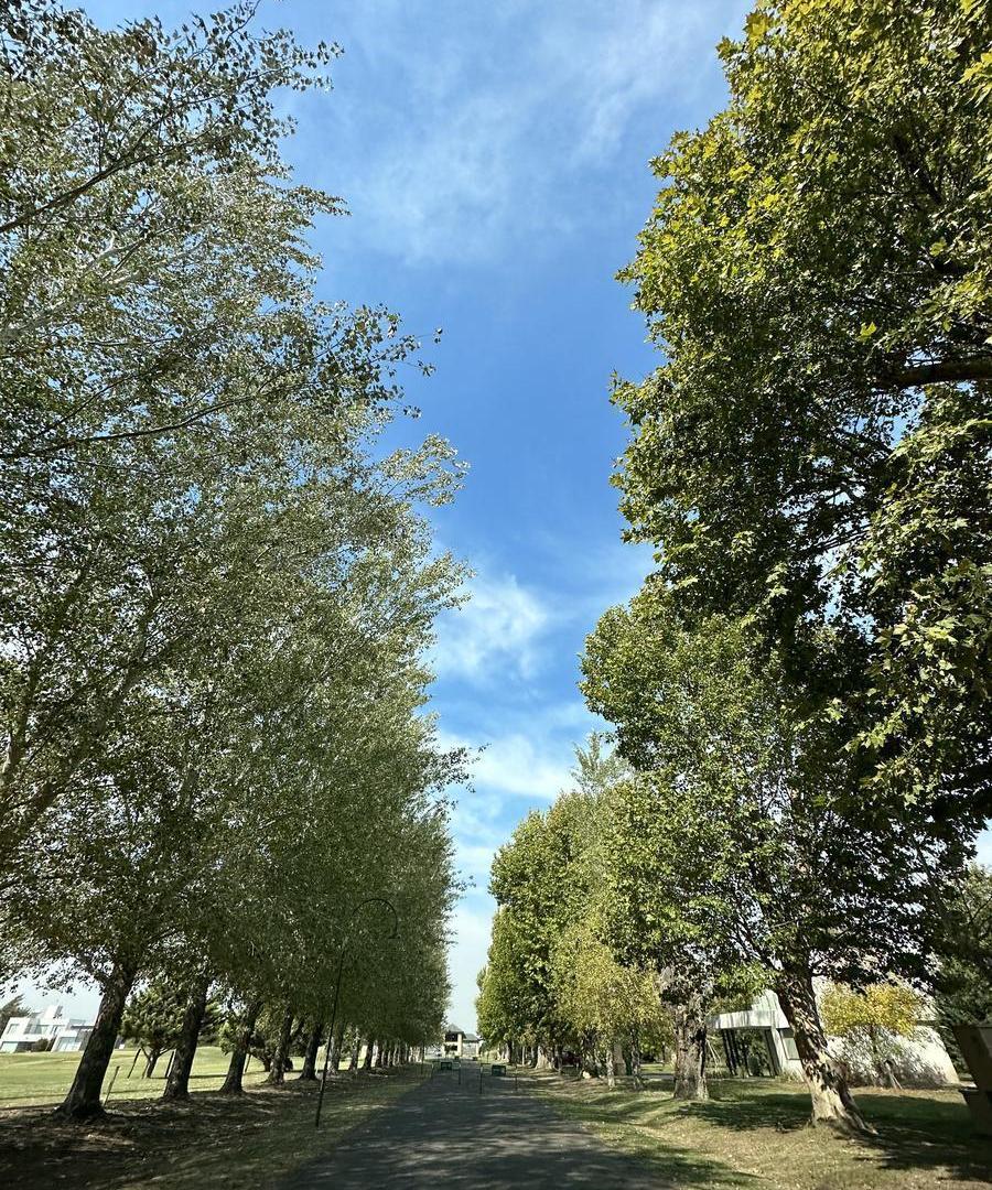 Foto de Venta Terreno en La Rinconada Financiacion, imagen 3