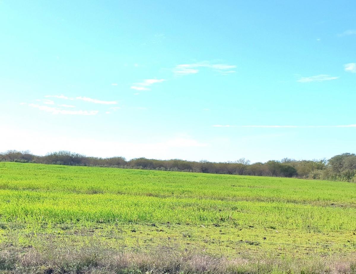 Casa de campo a la venta!!!