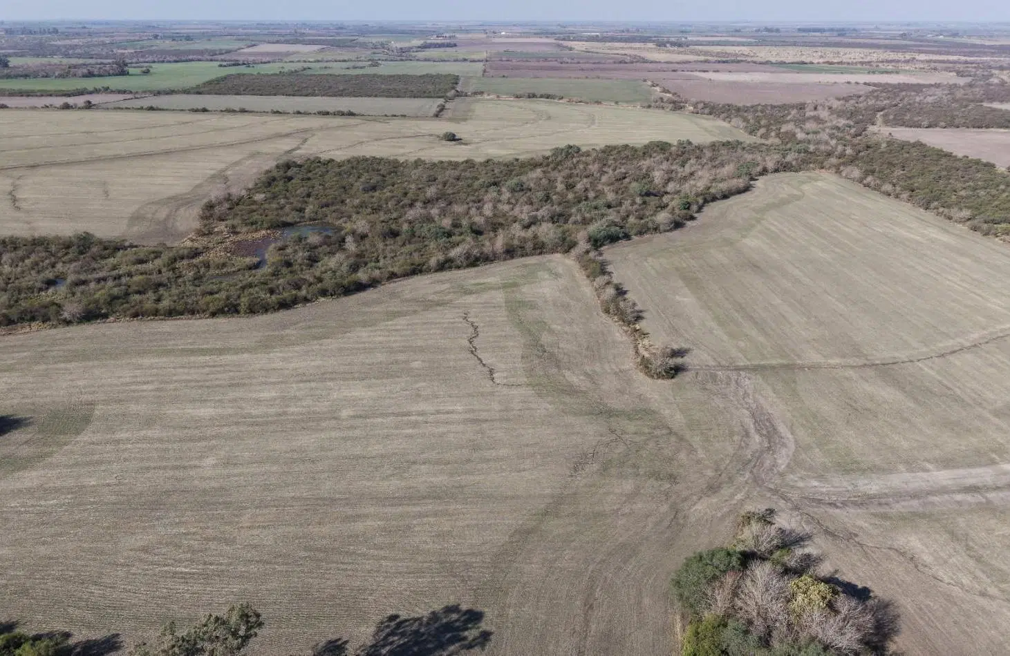 Se venden 142 hectareas en Parana 3