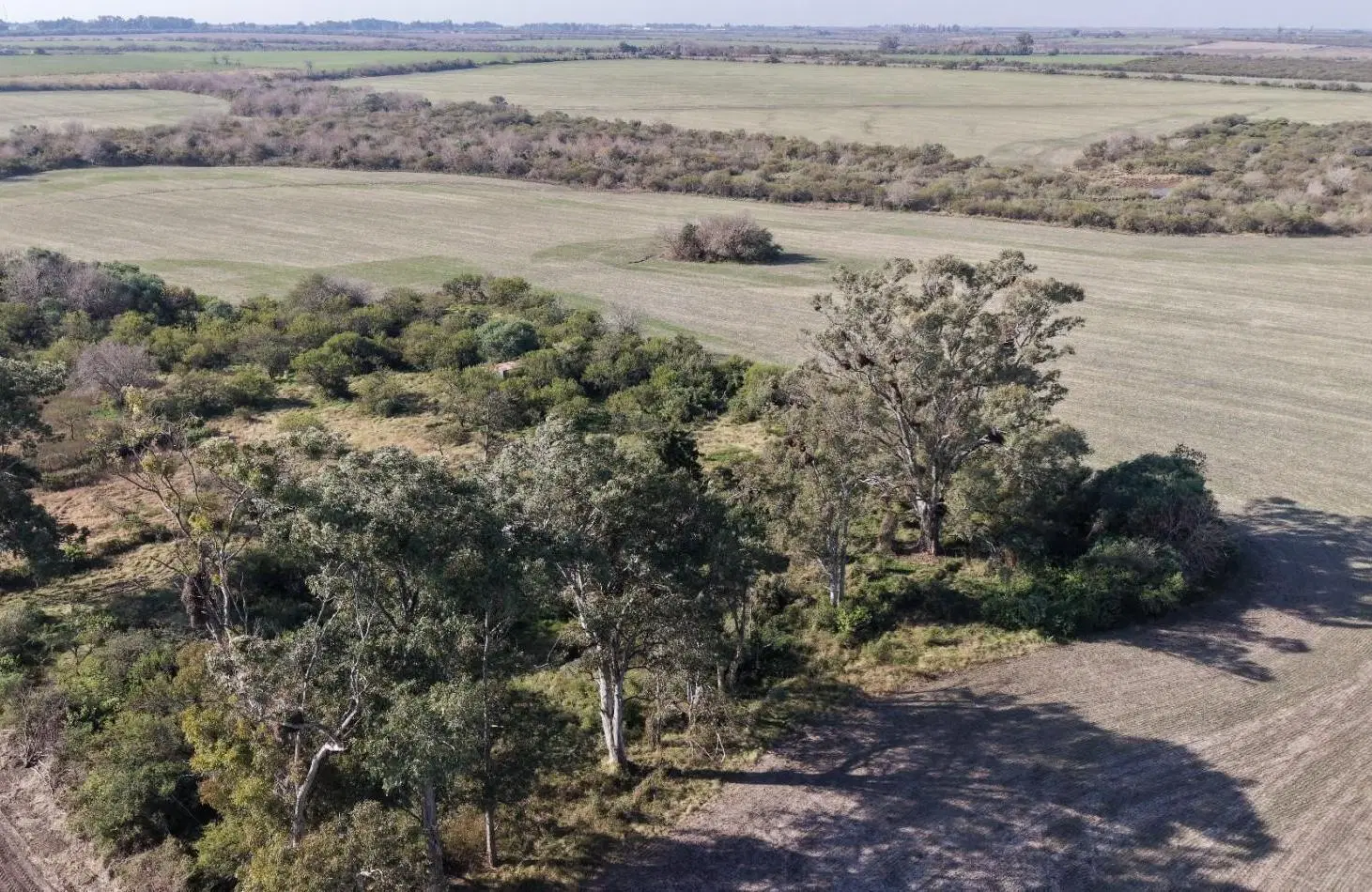 Se venden 142 hectareas en Parana 5