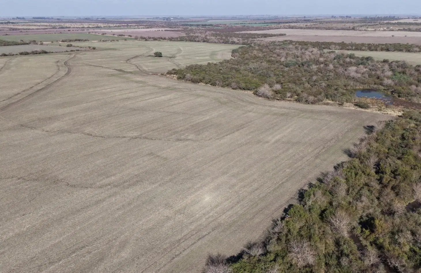 Se venden 142 hectareas en Parana 4