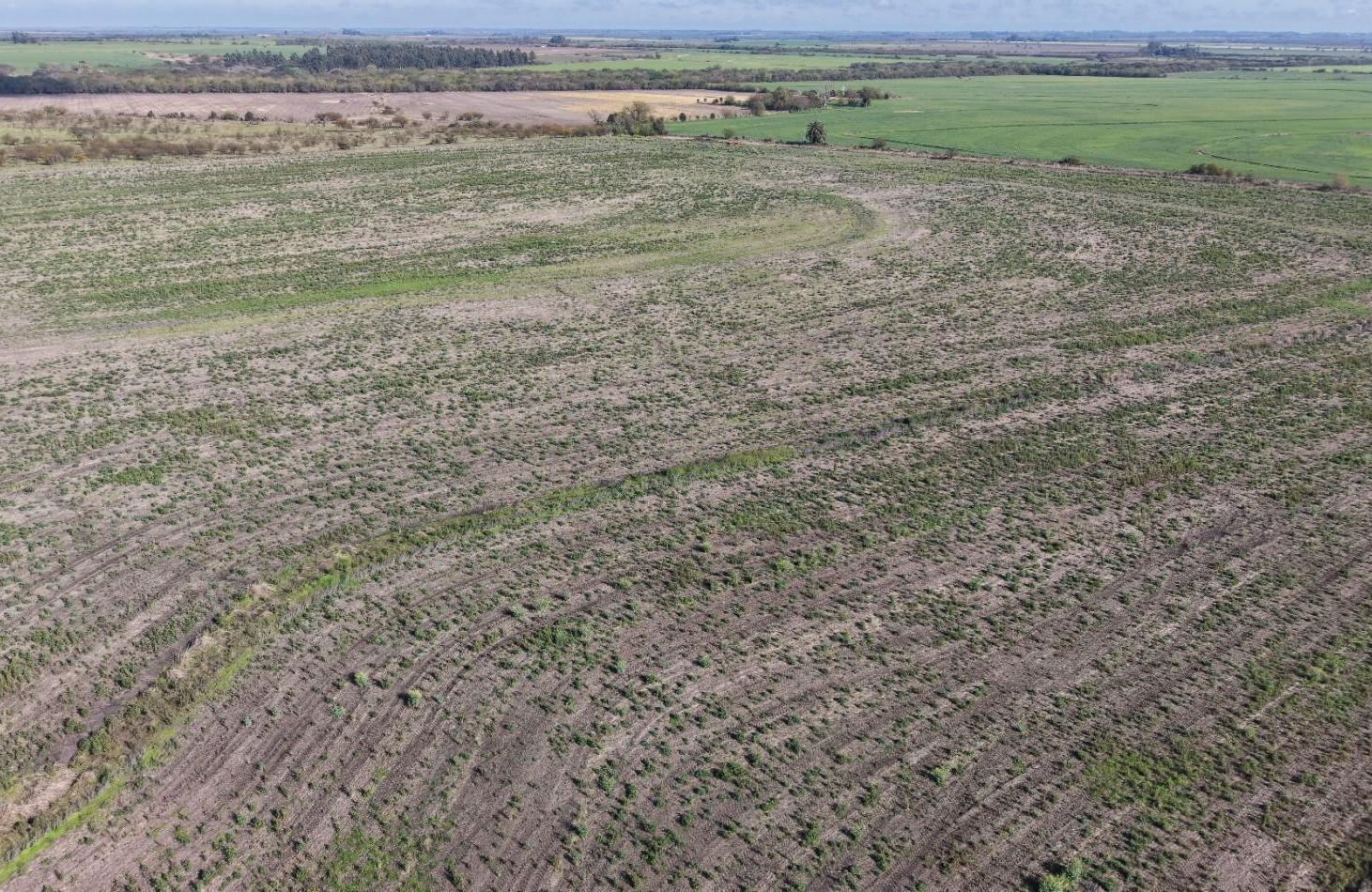 Foto de Se vende campo Agricola de 98has!!!, imagen 5