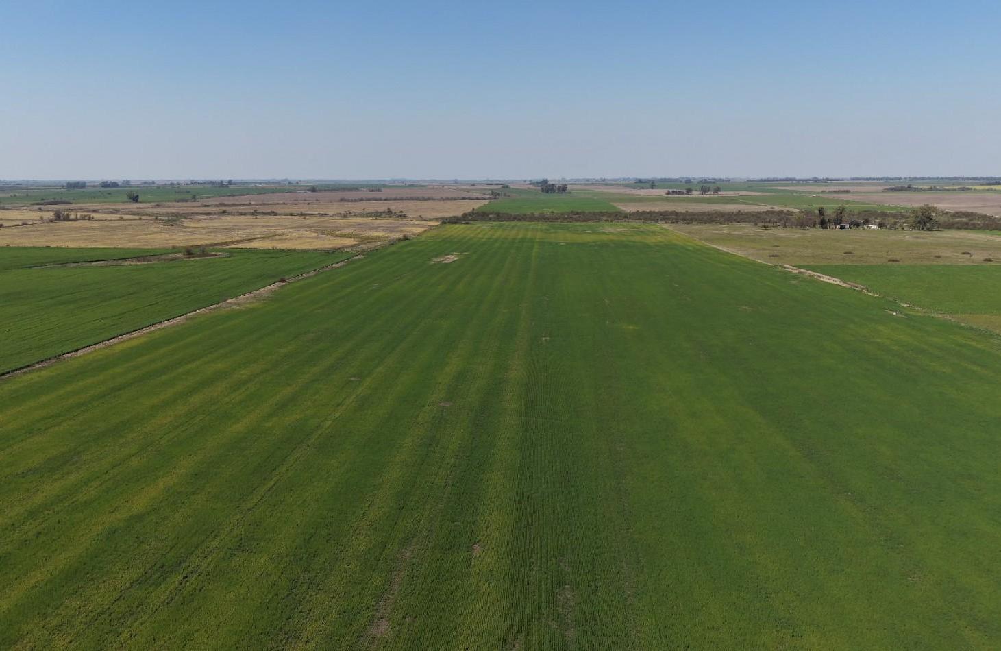 Foto de Se vende Campo de 70has en Departamento Nogoya!!, imagen 1