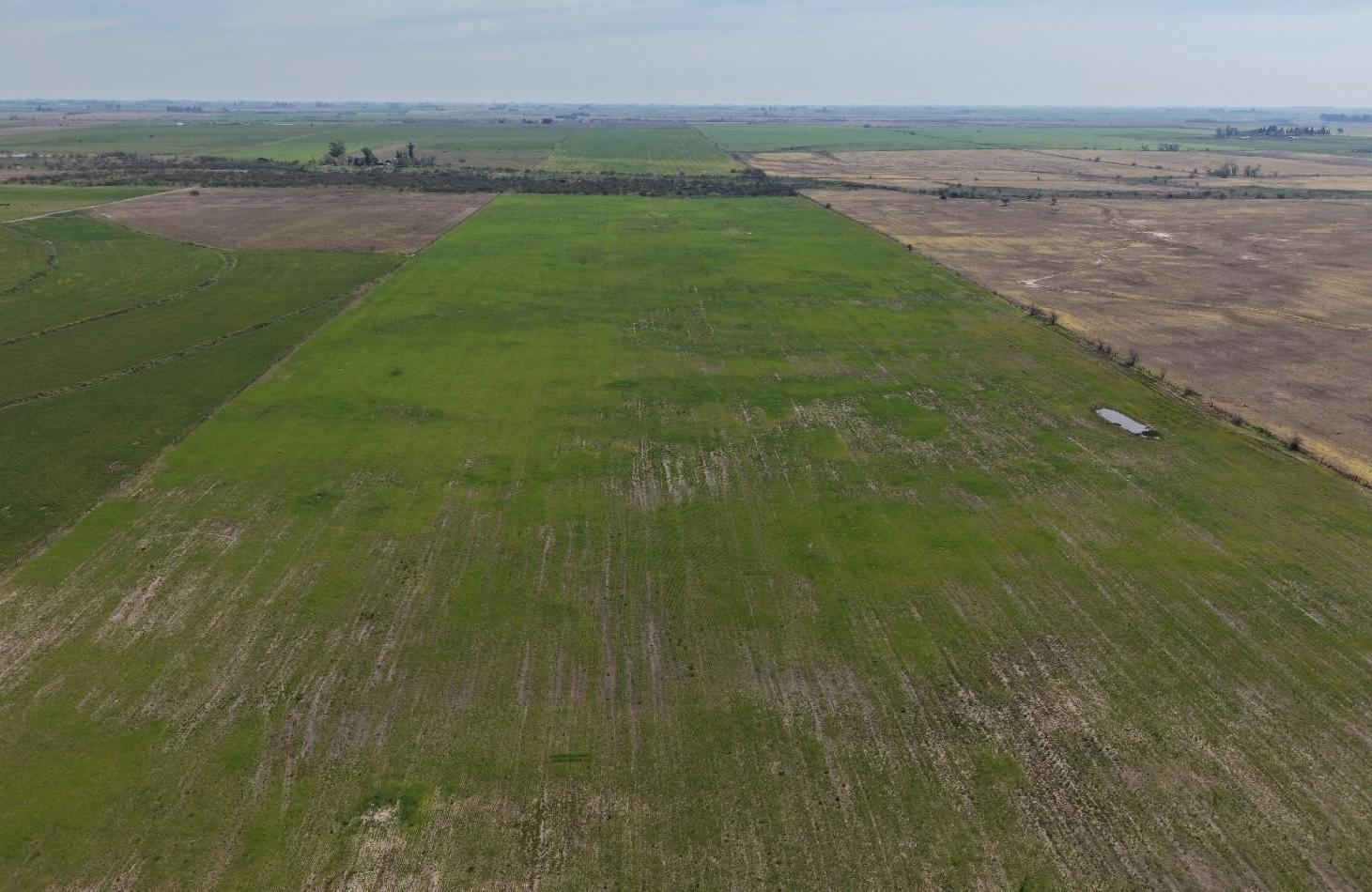 Foto de Se vende Campo de 70has en Departamento Nogoya!!, imagen 4