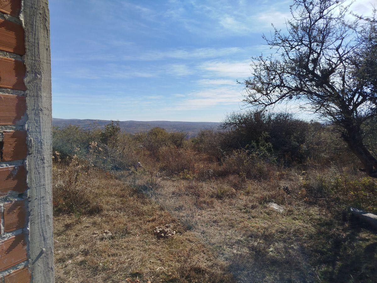 Foto de EN VENTA LOTE HUERTA GRANDE. PLANO, CON ESCRITURA Y SERVICIOS, imagen 3