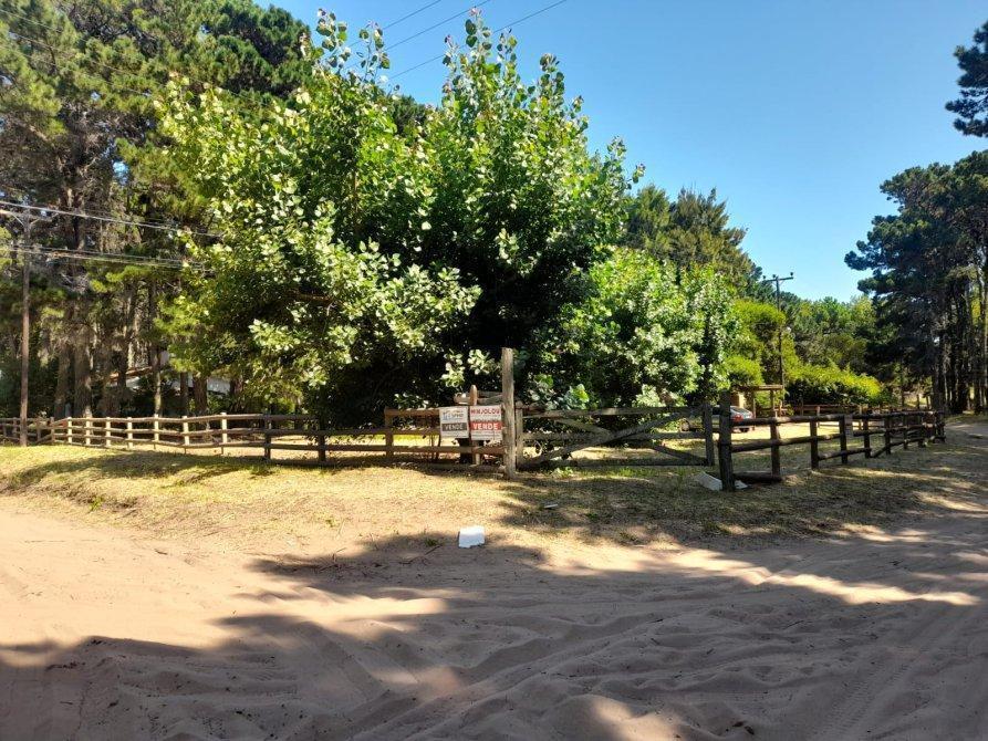 LOTE BARRIO EL PINAR
