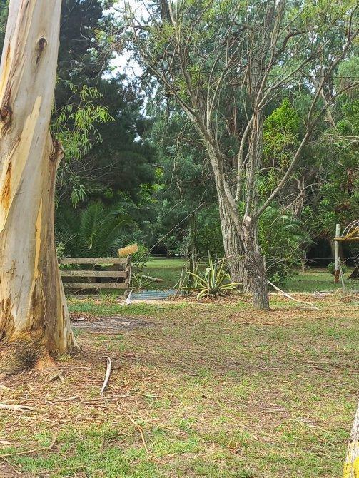LOTE SOBRE AV GALO PARAJE PAVON