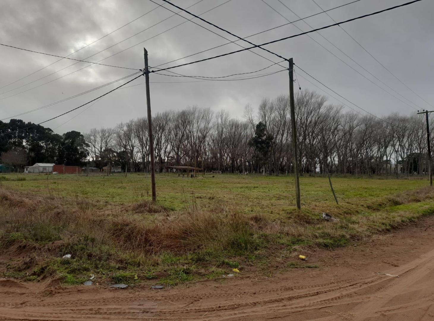 Foto de TERRENO EN VENTA, imagen 2