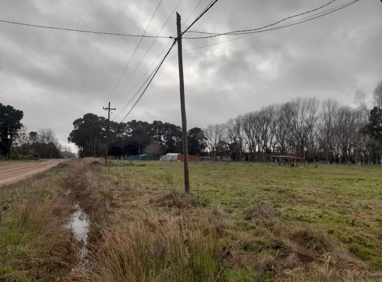 Foto de TERRENO EN VENTA, imagen 3
