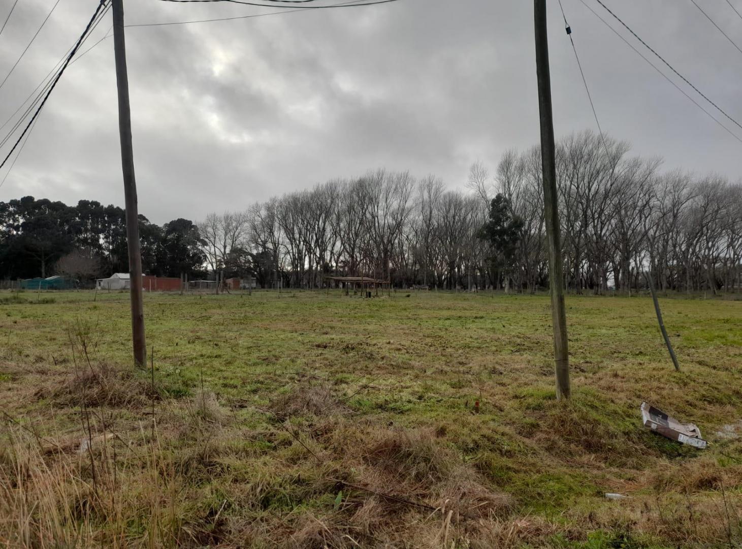 Foto de TERRENO EN VENTA, imagen 1