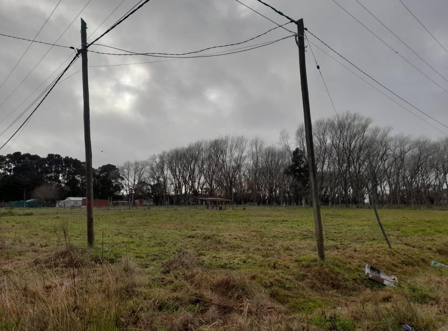 Foto de TERRENO EN VENTA, imagen 4