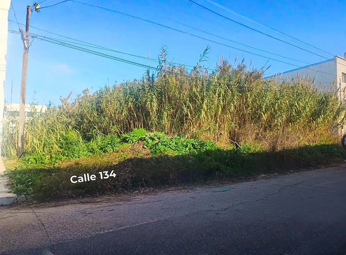 Terreno en Venta 5