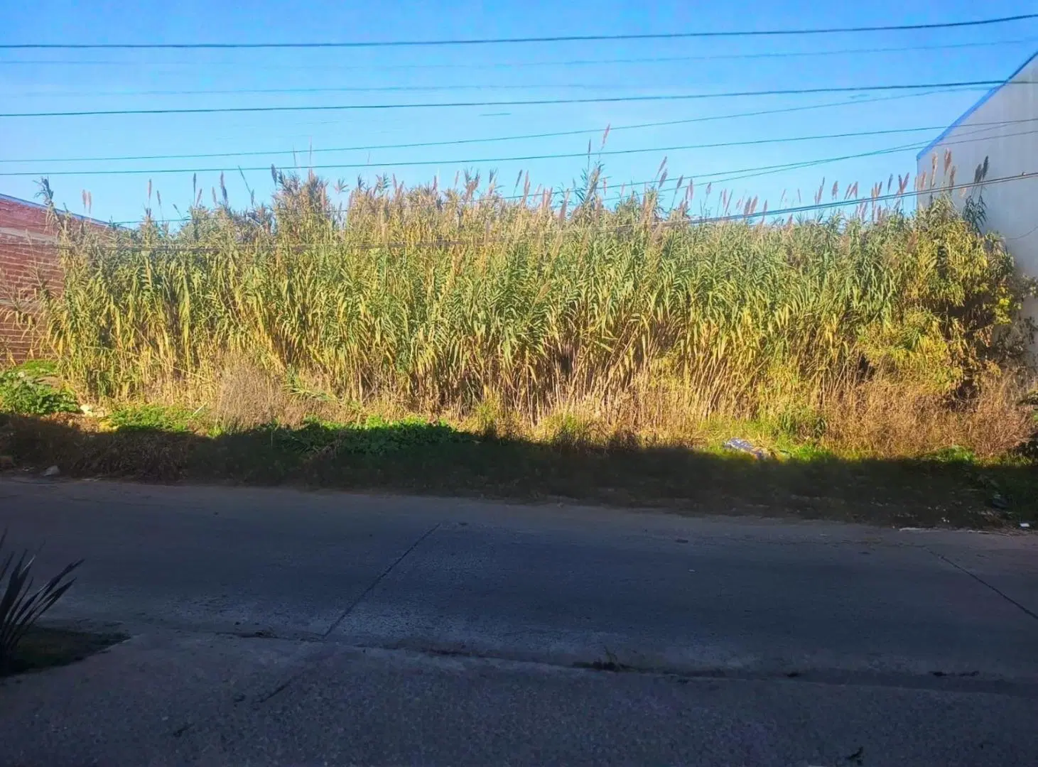 Terreno en Venta 1