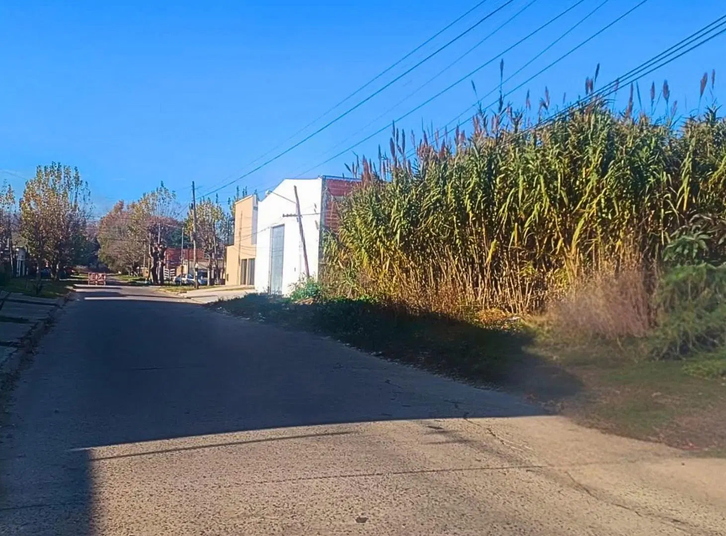 Terreno en Venta 4