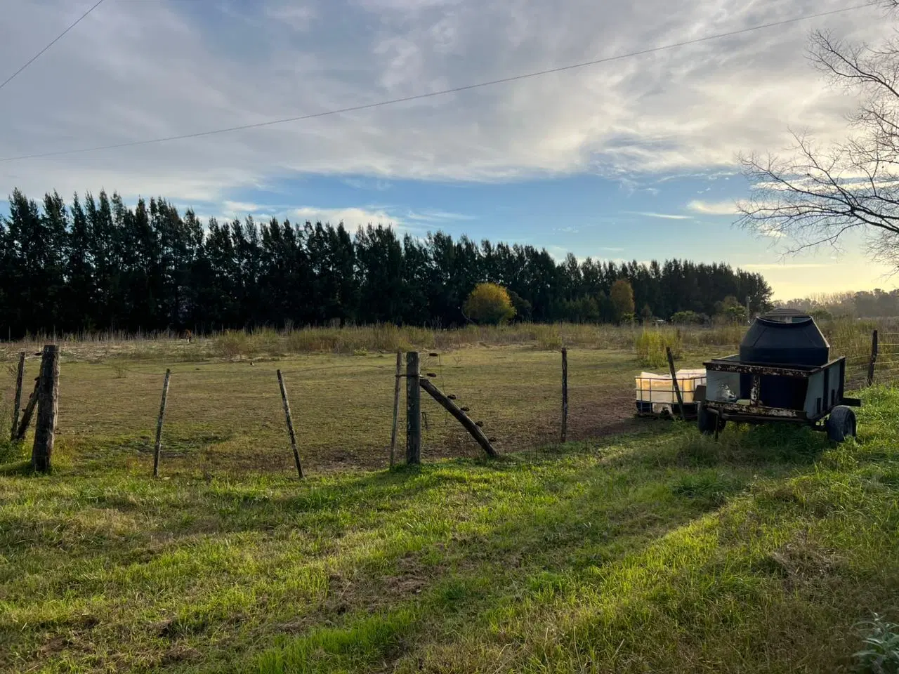 1 Hectárea en venta en Cañuelas 8