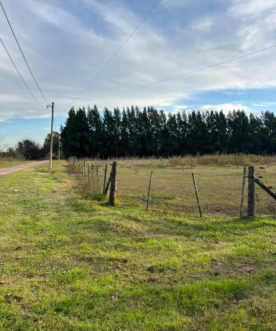1 Hectárea en venta en Cañuelas 4