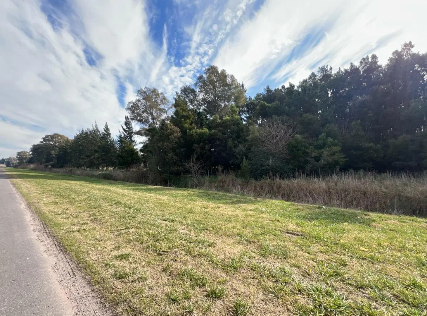 Campo en venta en San Vicente 3