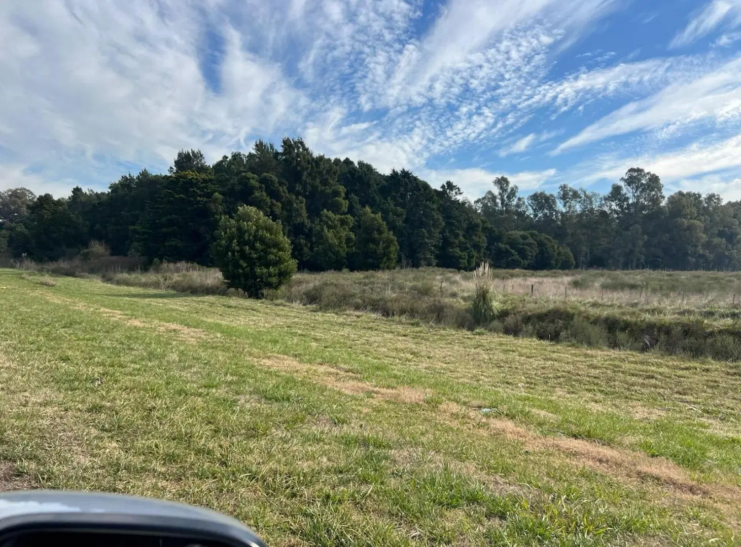 Campo en venta en San Vicente 4