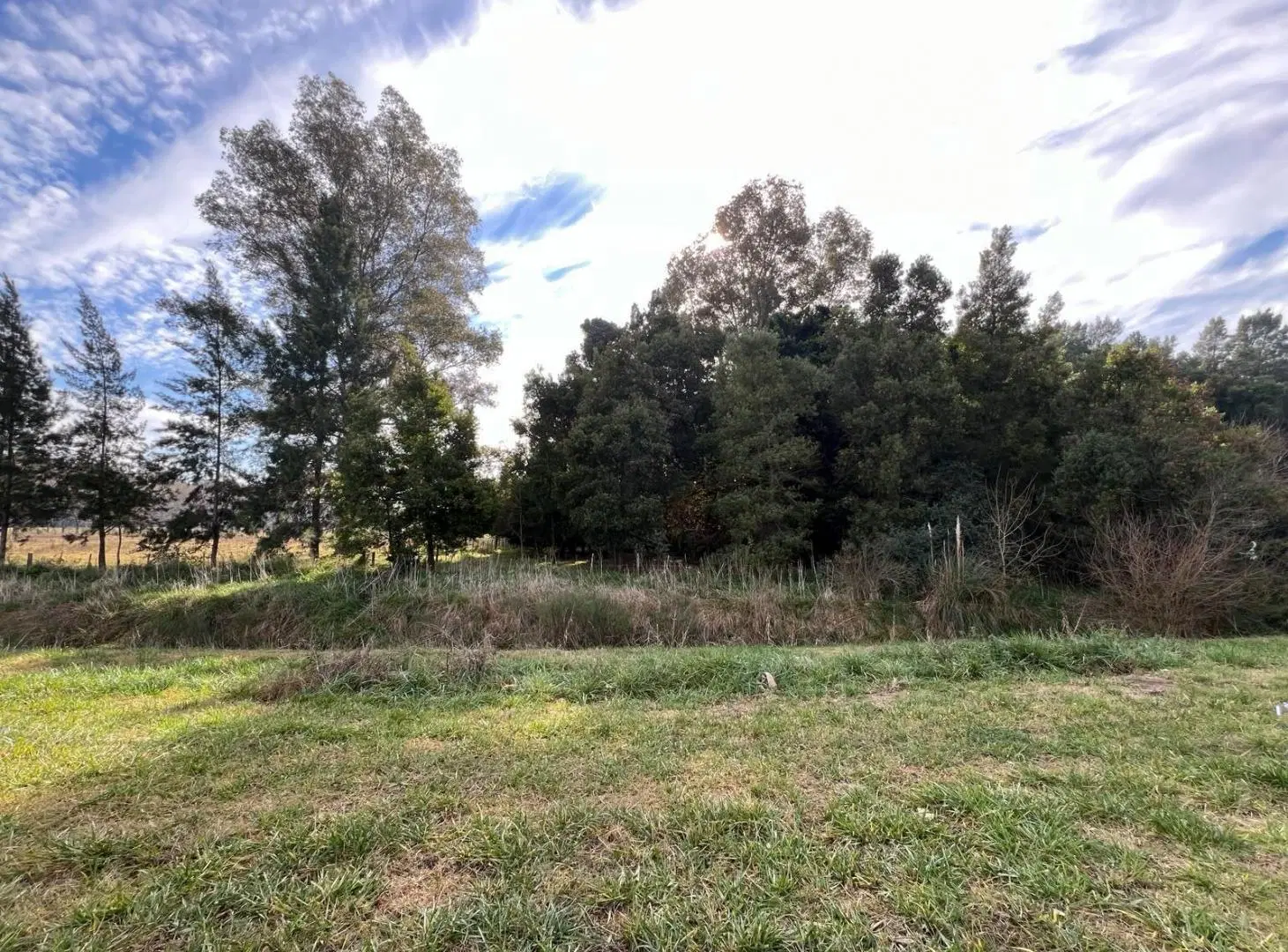 Campo en venta en San Vicente 1