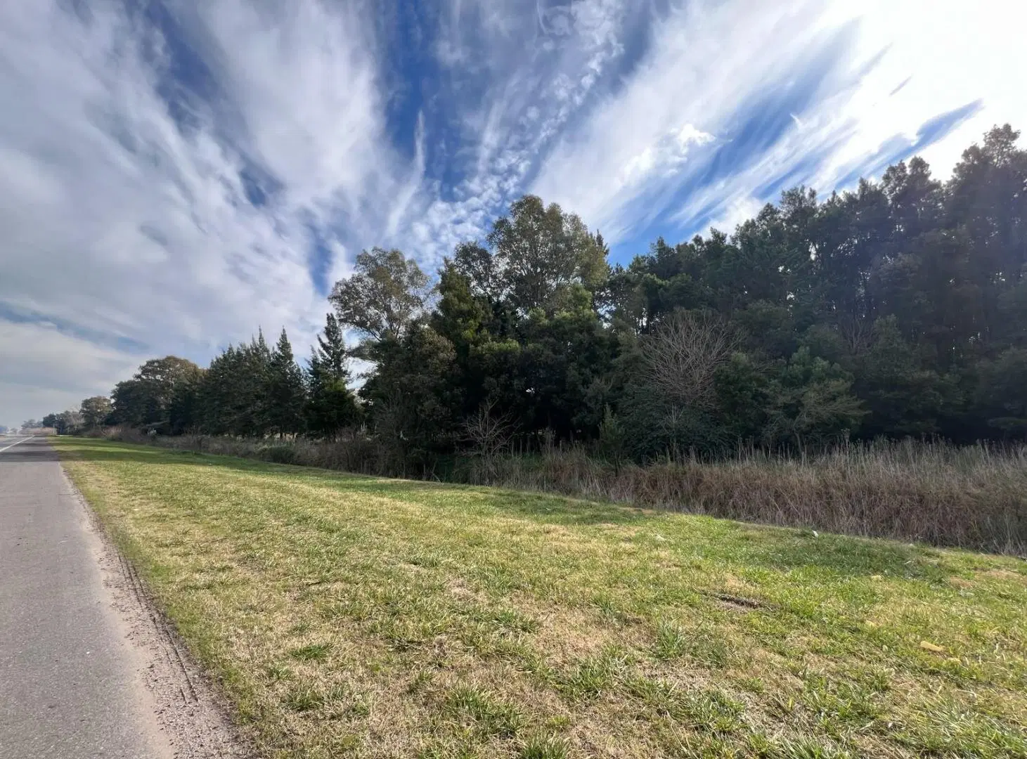Campo en venta en San Vicente 8