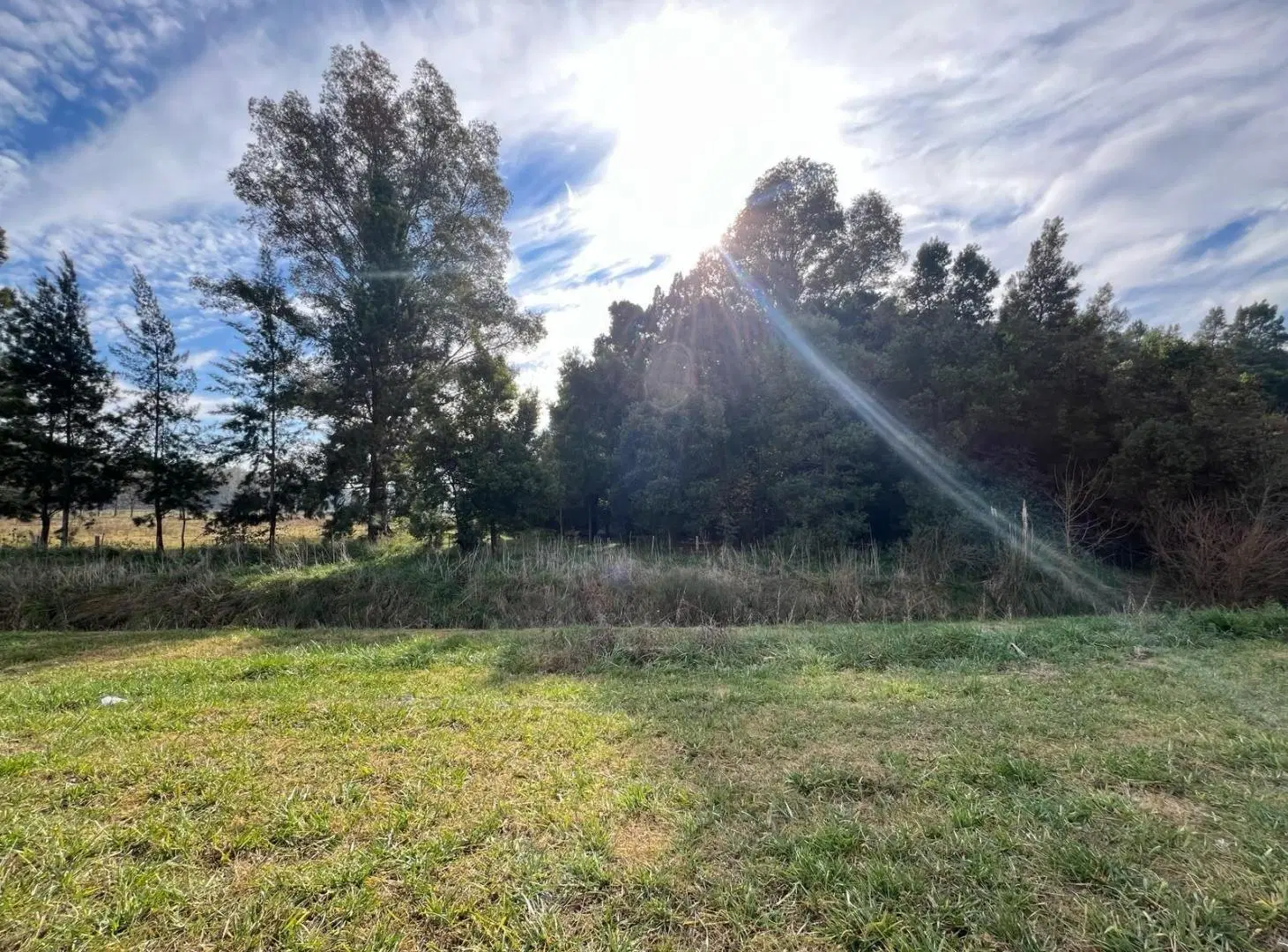 Campo en venta en San Vicente 5