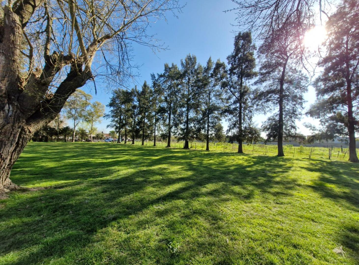 Foto de Campo en venta en Máximo Paz Cañuelas, imagen 1