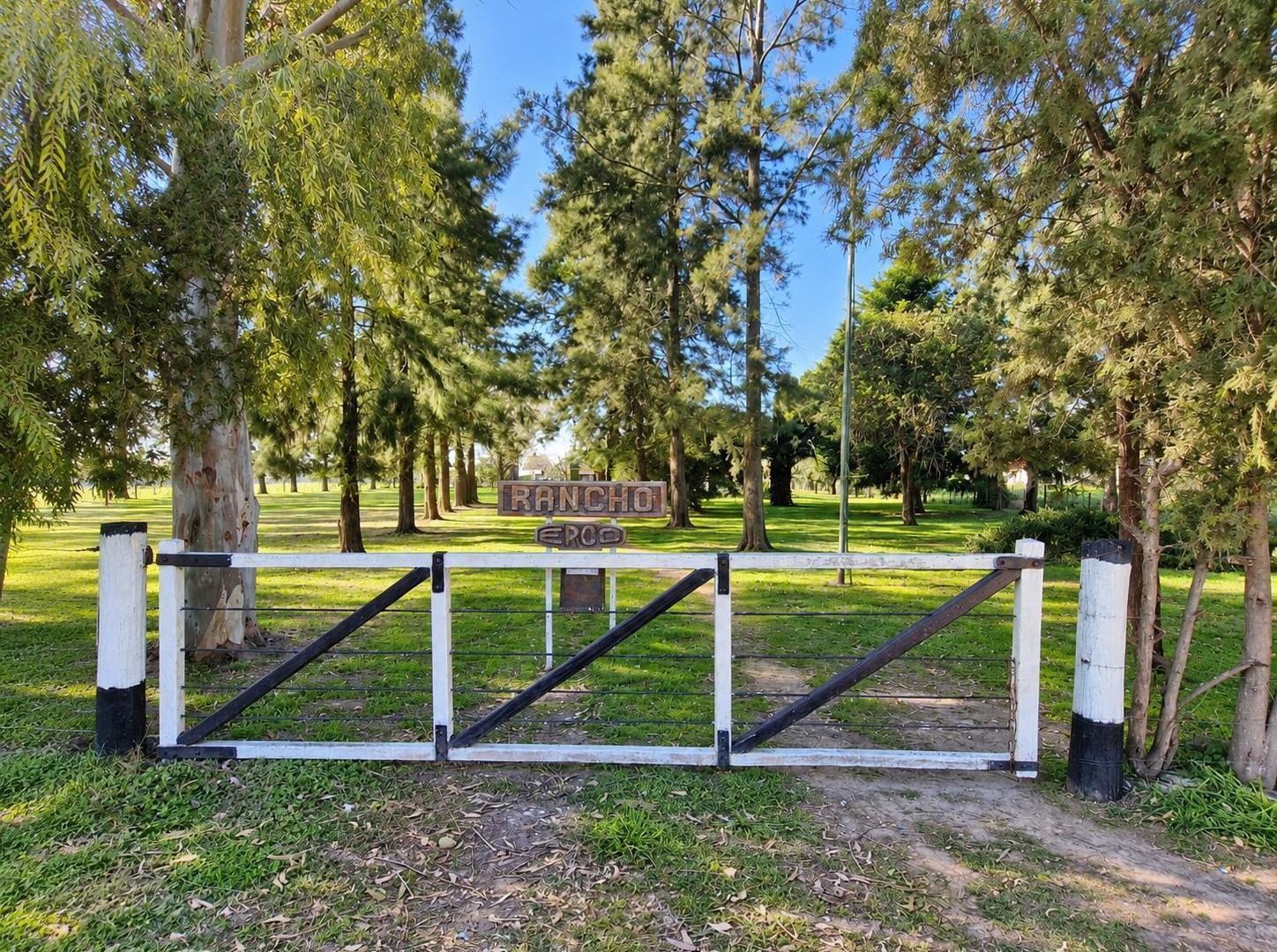 Foto de Campo en venta en Máximo Paz Cañuelas, imagen 3